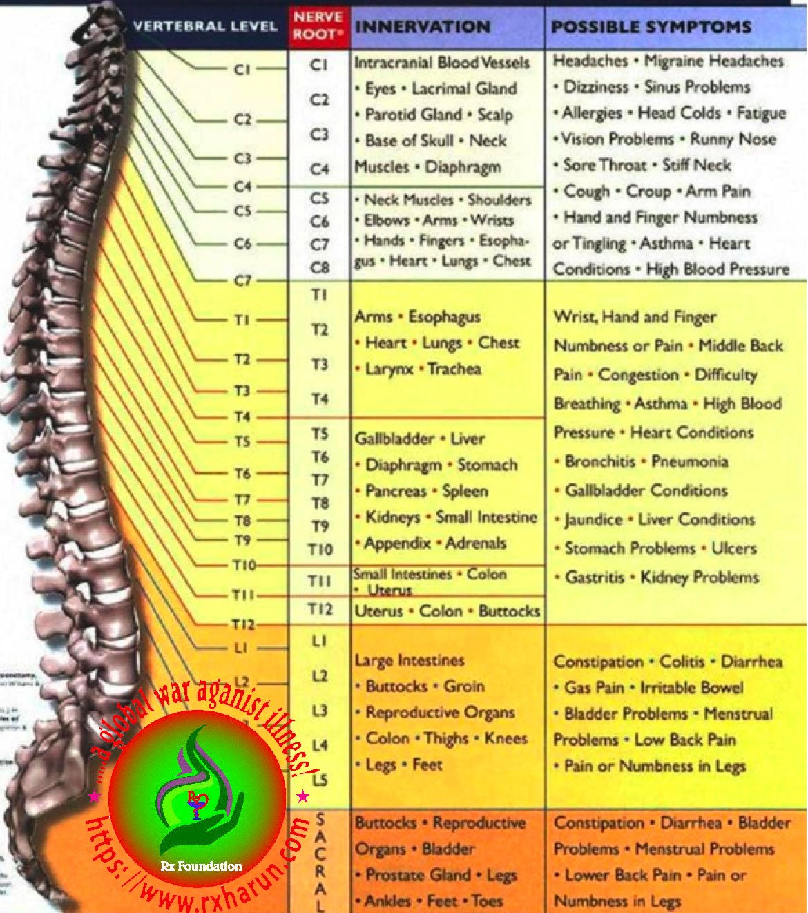 Grading/Types of Spondylolisthesis Causes Symptoms Grading/Types of Spondylolisthesis Causes Symptoms