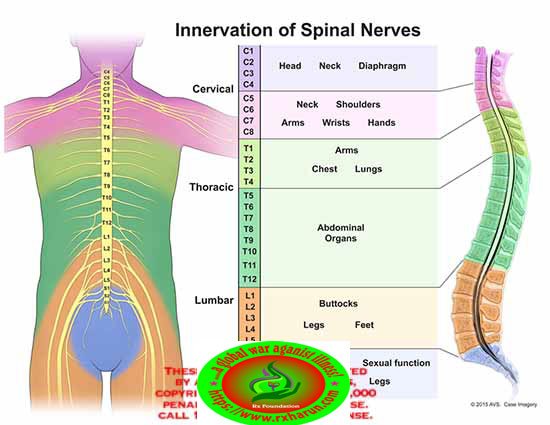 Degenerative Disk Disease; Symptom, Diagnosis, Treatment Degenerative Disk Disease; Symptom, Diagnosis, Treatment