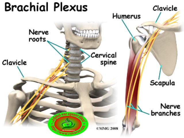 Burner Injury; Causes, Symptoms, Diagnosis, Treatment