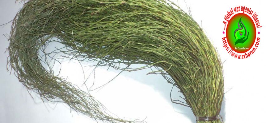 Fluid Retention Symptoms, Diagnosis, Treatment