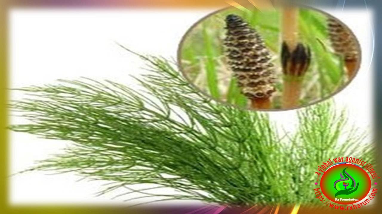 Fluid Retention Symptoms, Diagnosis, Treatment