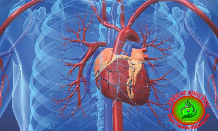 Health Benefits of Vitamin B Complex, Types