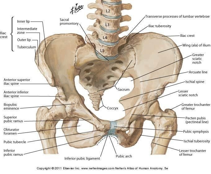 Sacroiliac Joint Trauma - Causes, Symptoms, Treatment