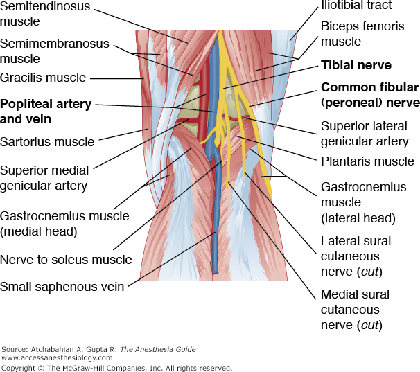Knee Dislocation - Causes, Symptoms, Diagnosis, Treatment