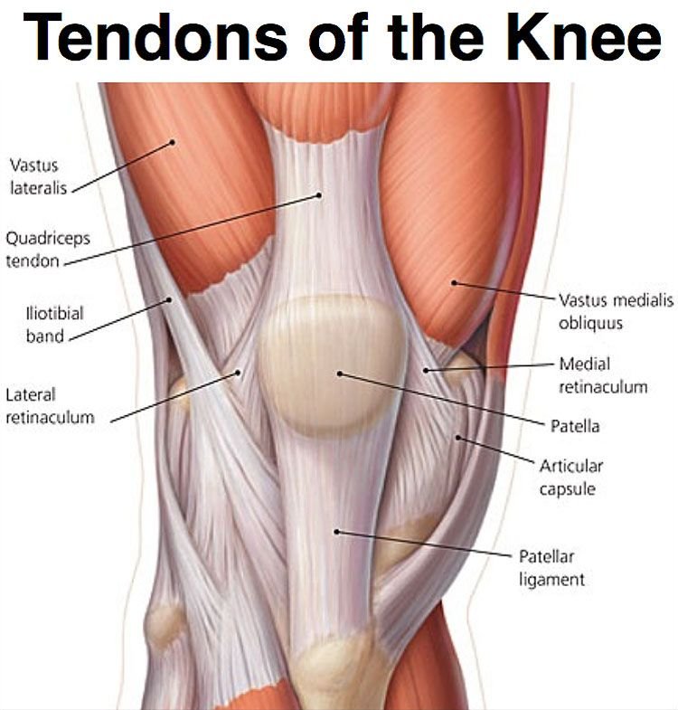 First Symptoms Of Knee Joints Osteoarthritis