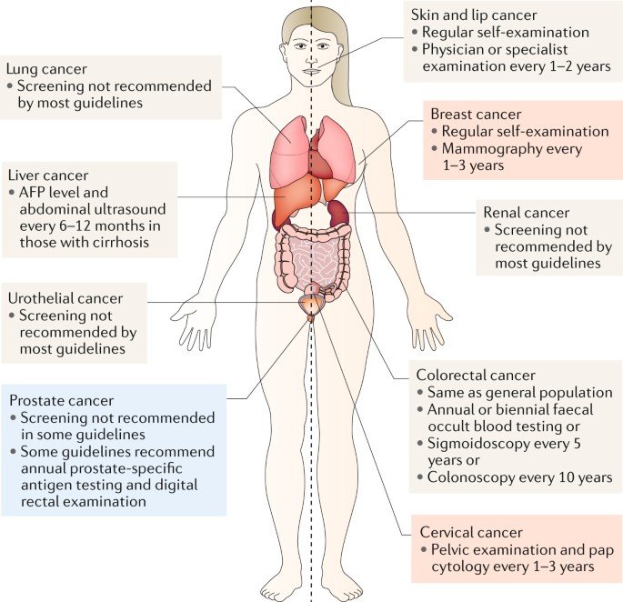 Kidney Transplant - Causes, Indications, Treatment