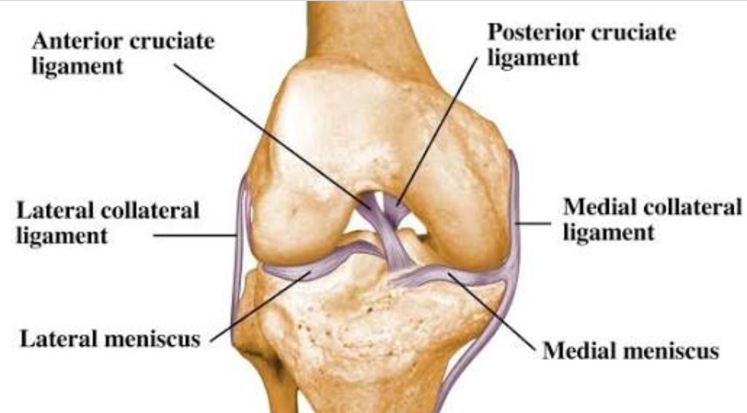 Lateral Collateral Ligament Injury - Symptoms, Treatment