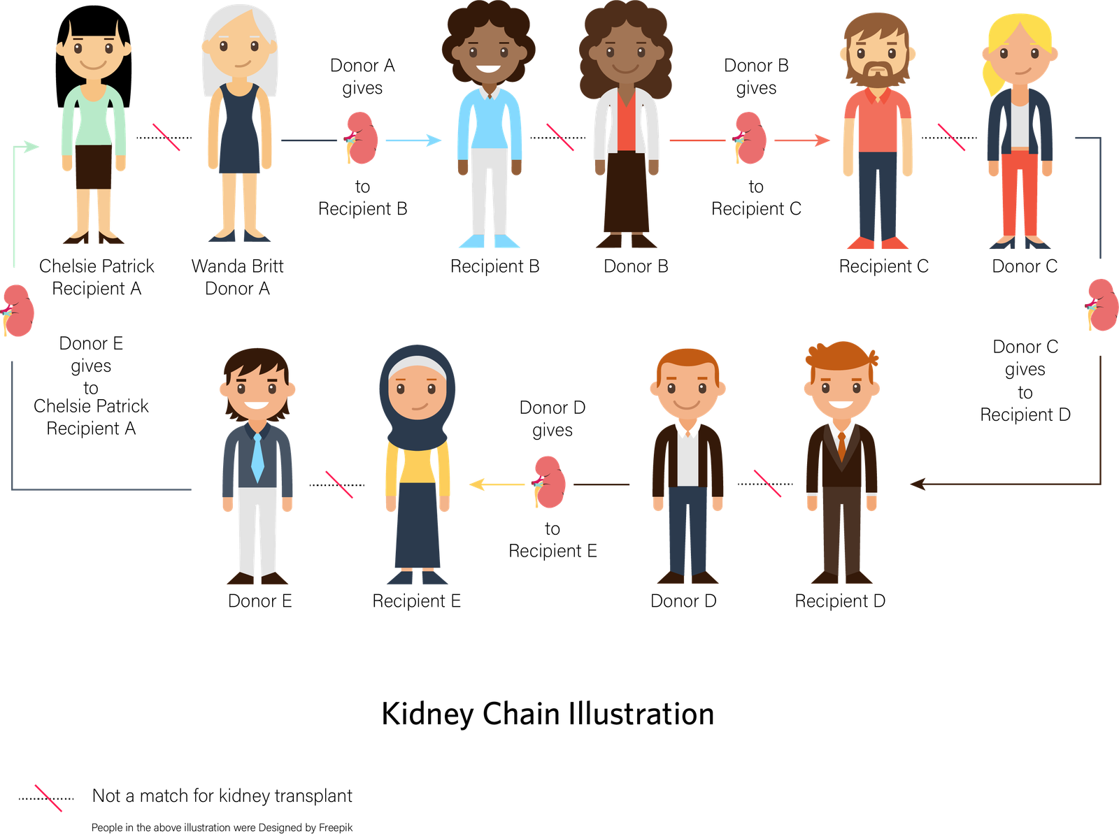Kidney Transplant - Causes, Indications, Treatment