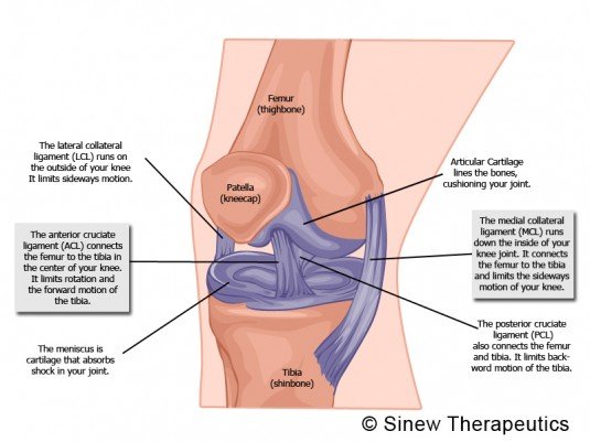 Knee Medial Collateral Ligament Injury - Symptoms, Treatment