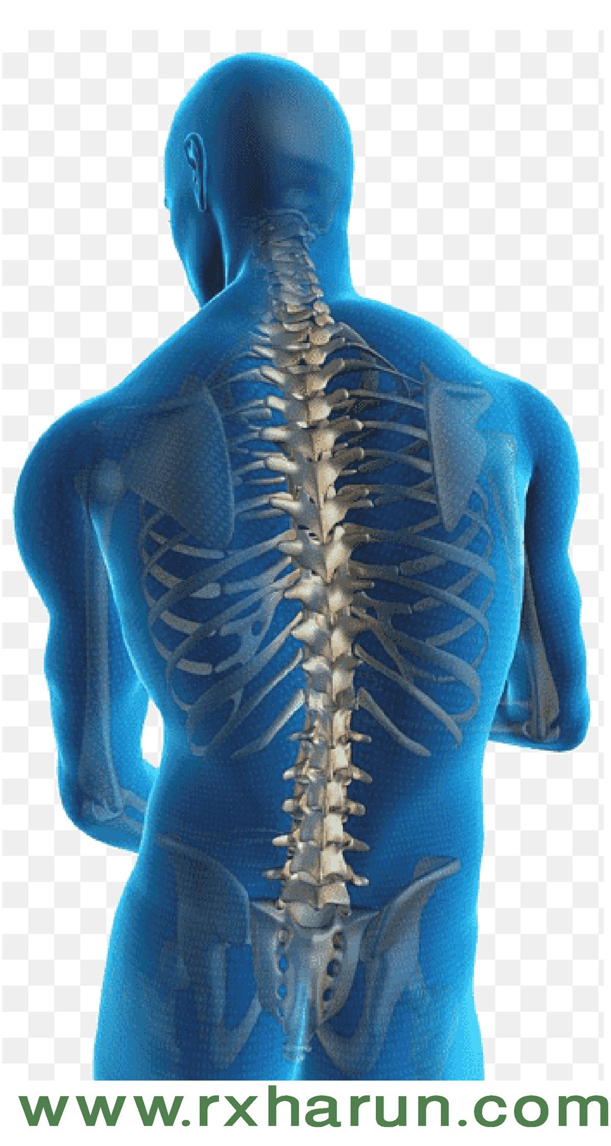 Degenerative Disc - Causes, Symptoms, Diagnosis, Treatment