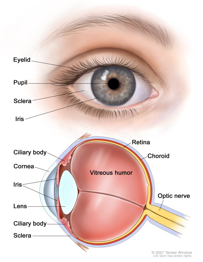 What Is Melanoma? - Causes, Symptoms, Diagnosis, Treatment