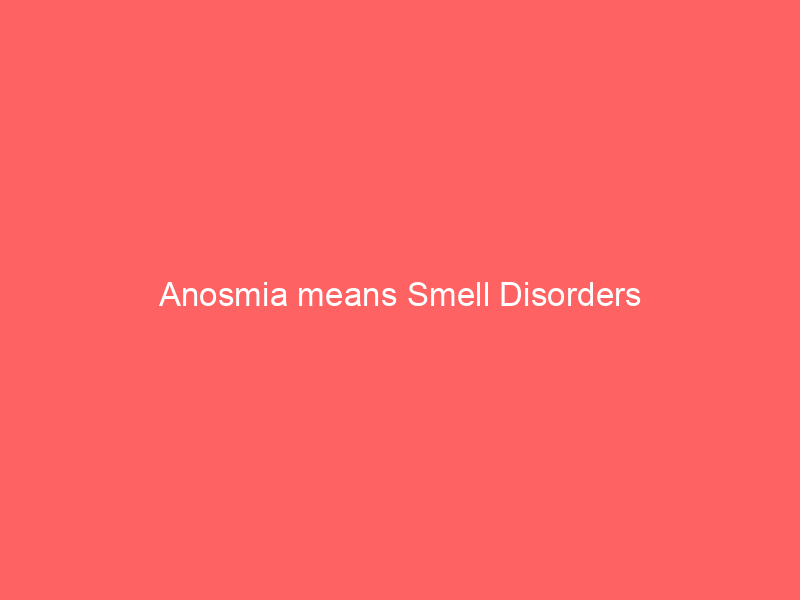 Anosmia means Smell Disorders