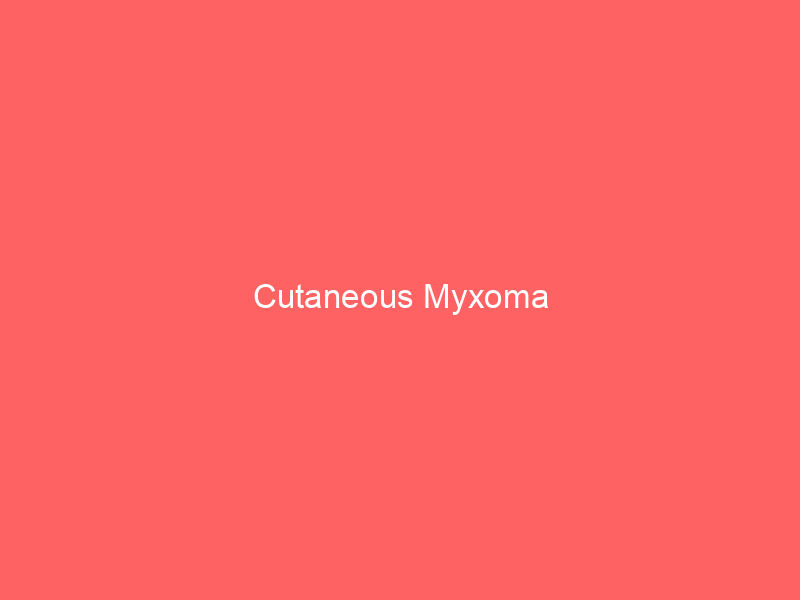 Cutaneous Myxoma
