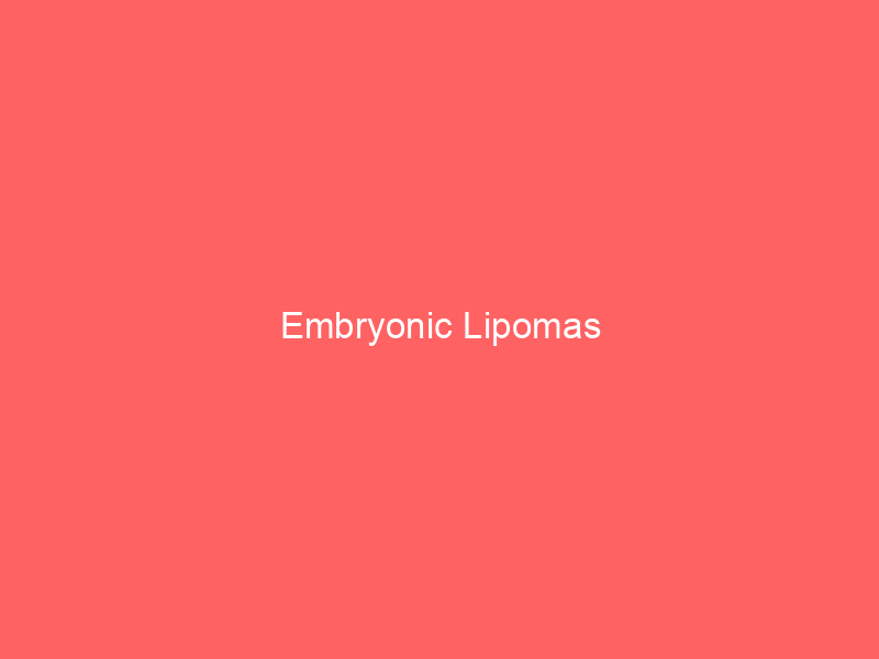 Embryonic Lipomas