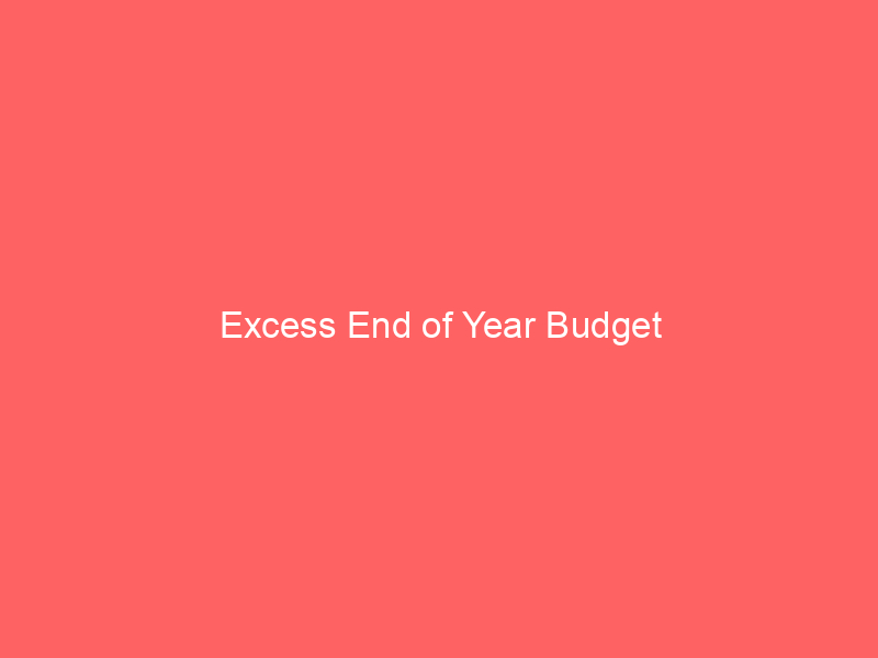 Excess End of Year Budget