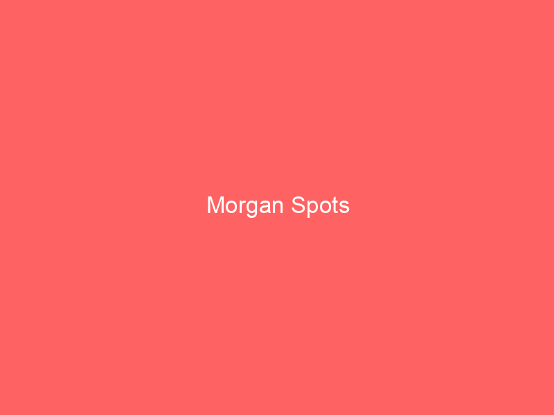 Morgan Spots
