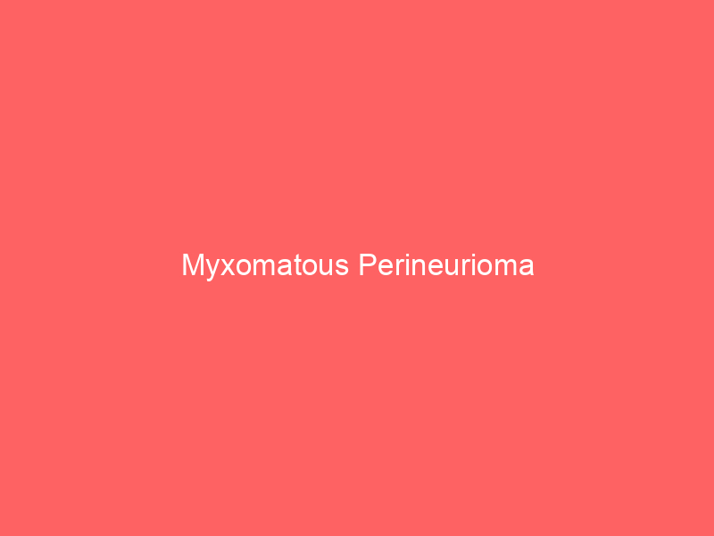 Myxomatous Perineurioma