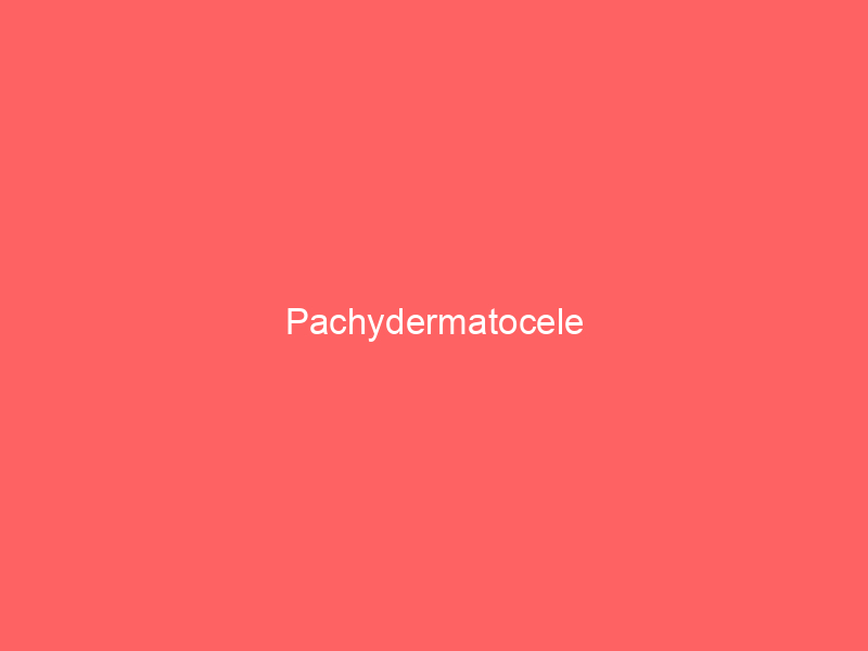 Pachydermatocele