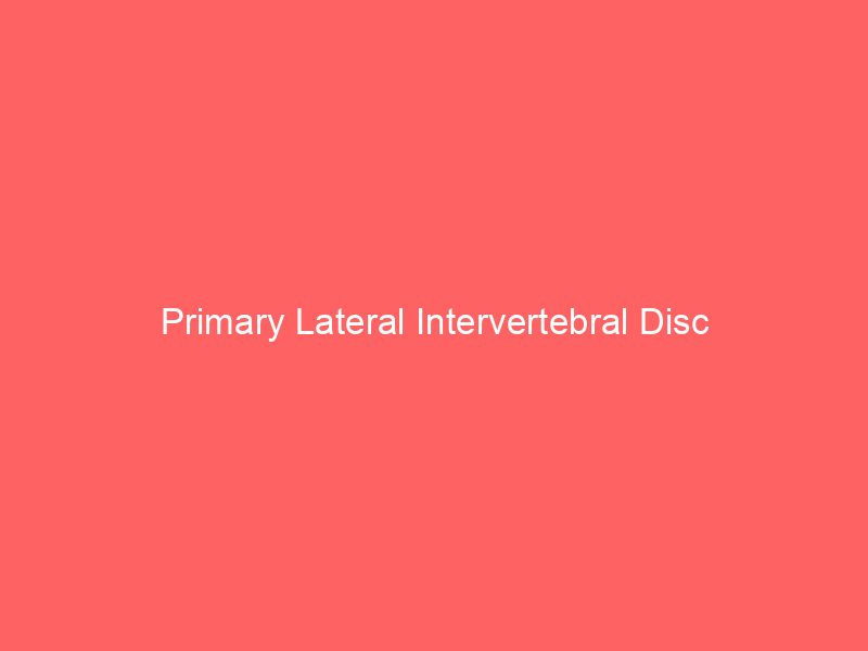 Primary Lateral Intervertebral Disc