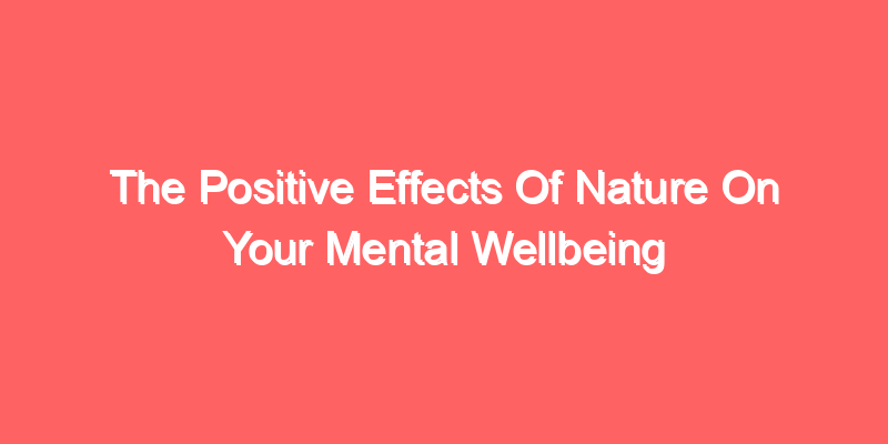 The Positive Effects Of Nature On Your Mental Wellbeing
