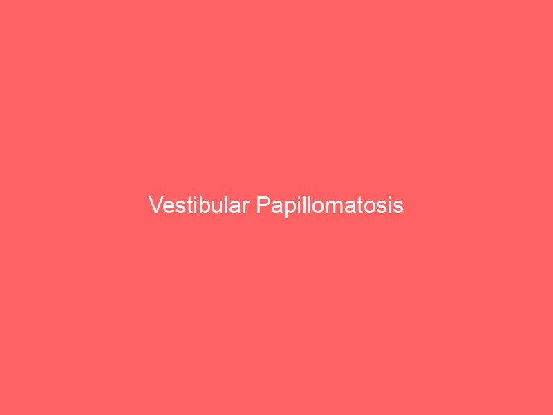 Vestibular Papillomatosis