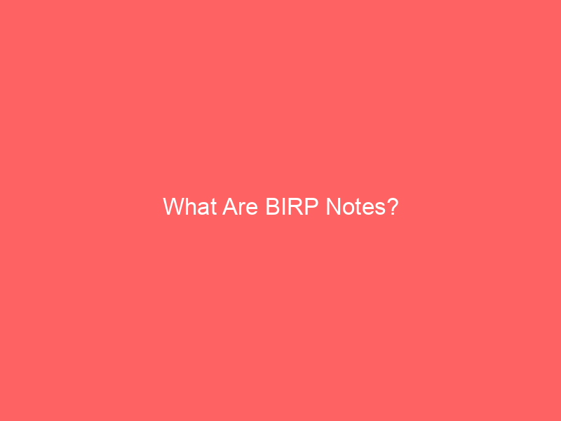 What Are BIRP Notes?
