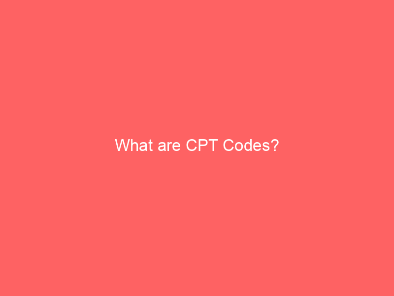 What are CPT Codes?