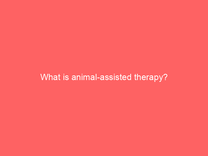 What is animal-assisted therapy?