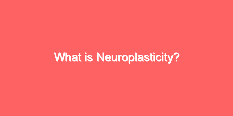 What is Neuroplasticity?
